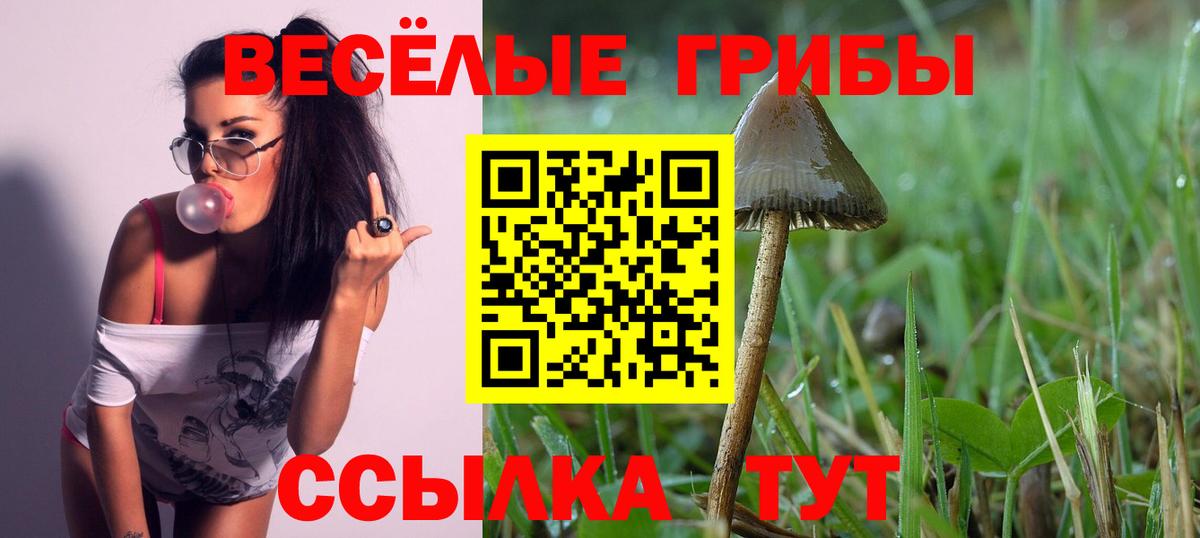 Галлюциногенные грибы MAGIC MUSHROOMS Таганрог