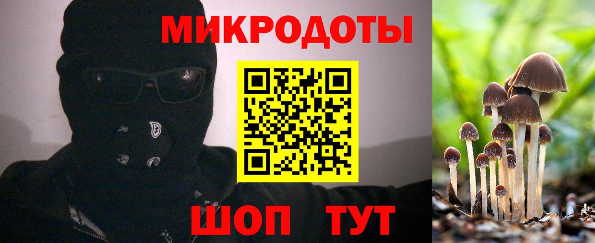 Псилоцибиновые грибы мухоморы Таганрог